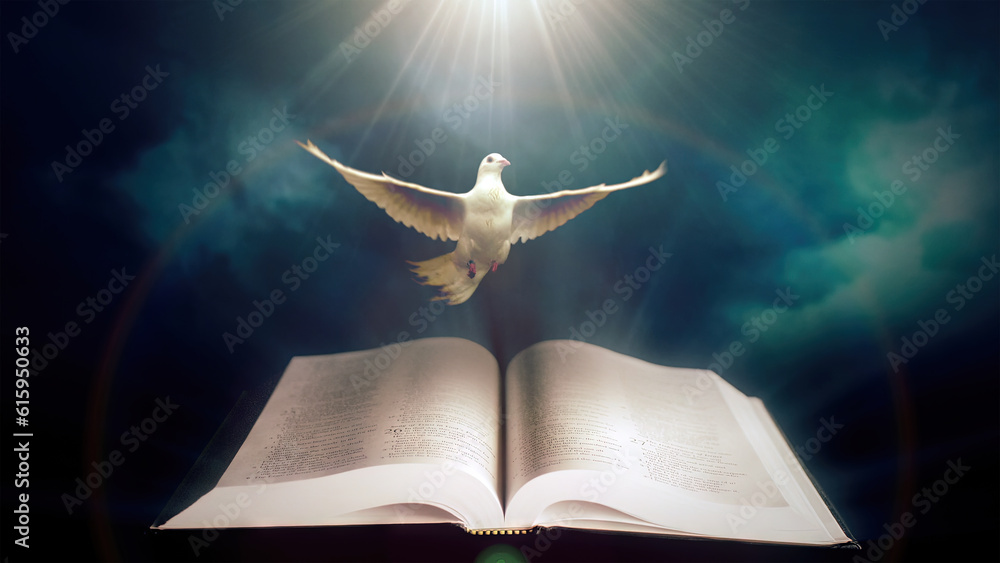Pigeon with a open bible and clouds Stock Illustration Adobe Stock