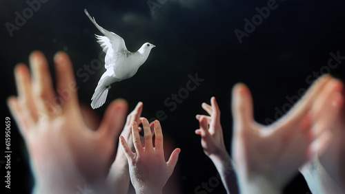 фотографія Praying hands with a white dove