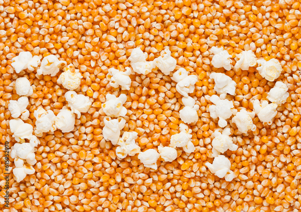 Raw golden sweet corn seeds with word POP made from popcorn Raw golden sweet corn seeds with word POP made from popcorn