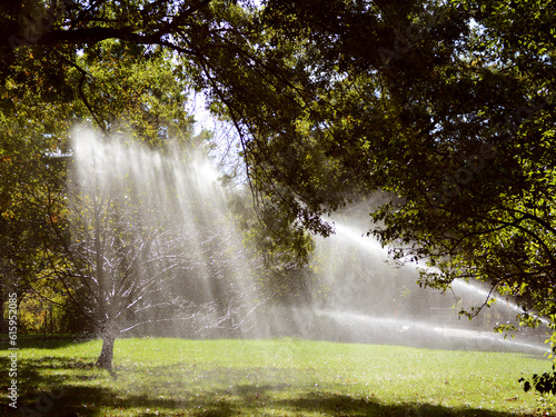 Wallpaper Mural Rays of sunlight shine through a tree onto water from a sprinkler, watering a lawn in Central Park, New York City Torontodigital.ca