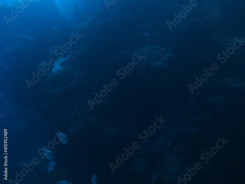 Scuba Diving © Oisin