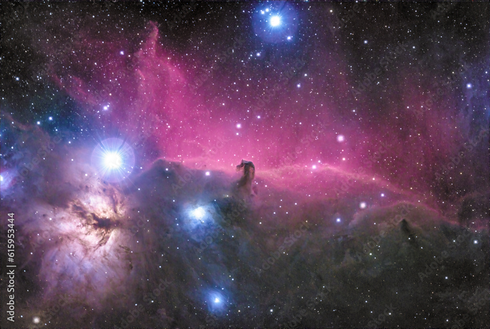 Fototapeta premium Horsehead Nebula