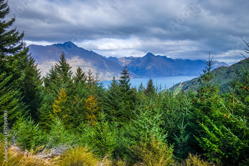 Lake Wakatipu and mountain forest panorama, New Zealand