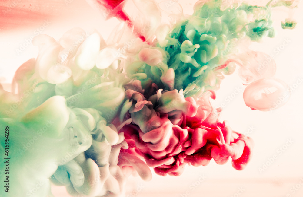 Fototapeta premium green and red splash on white background. It is a paint of splash in colorful view.