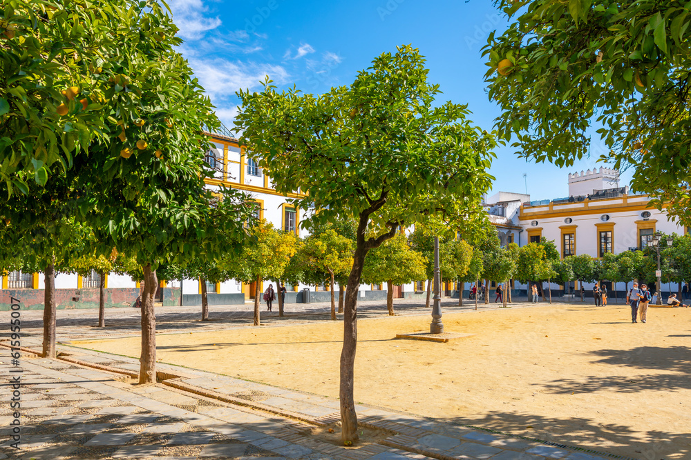 Orange trees line the interior Patio de Banderas courtyard of the Royal Alcazar Palace in the medieval center of the Andalusian city of Seville, Spain.