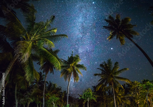 Foto Night shot with palm trees and milky way in background, tropical warm night