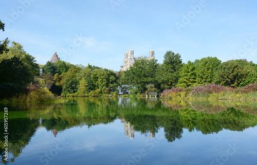 Turtle Pond in Central Park, surrounded by trees and lush marginal plants reflected in the water.