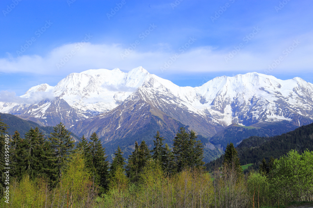 French Alps panorama in spring