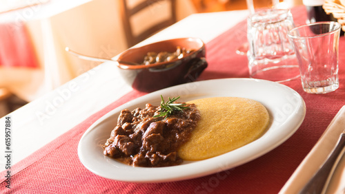 Tasty italian lunch at the restaurant: polenta with deer stew