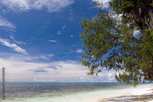 Fototapeta Naklejka Na Ścianę i Meble -  Beautiful tropical paradise in Maldives with palms hanging over the white and turquoise sea