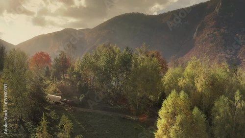 Covered wagon pulled by a horse through a forest at sunset. Aerial shot from a drone. photo