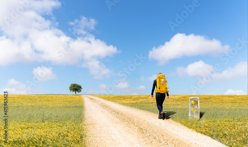 Fotografie, Tablou Camino de Santiago - A young pilgrim with a yellow backpack, walking alone in th