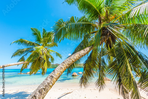 Beautiful beach Anse Boudin seen from under the coconut palm, Praslin island, Seychelles.