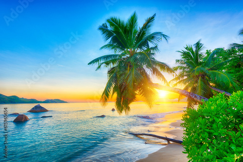 Beautiful sunset over the sea with a view at a single palm on the white beach in the Seychelles  island of La Digue.