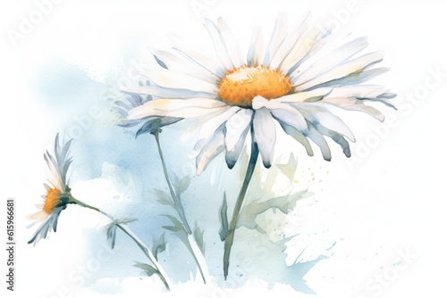 watercolor of Daisy isolated created with Generative AI technology