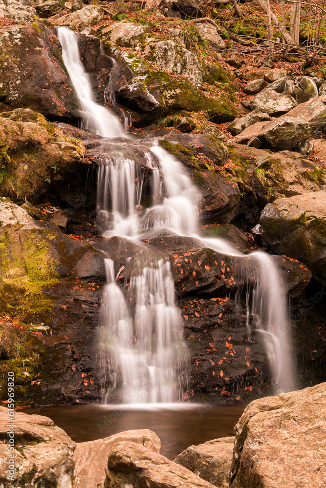 Obraz premium Dark Hollow Falls in Shenandoah National Park, Virginia.