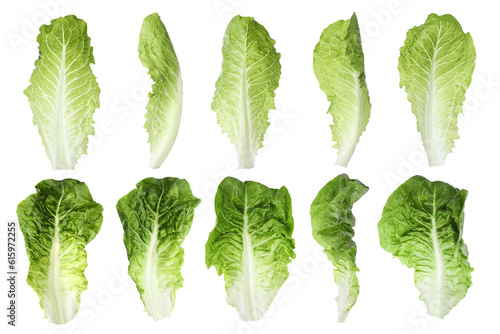 Foto Set of fresh romaine lettuce leaves on white background, different views