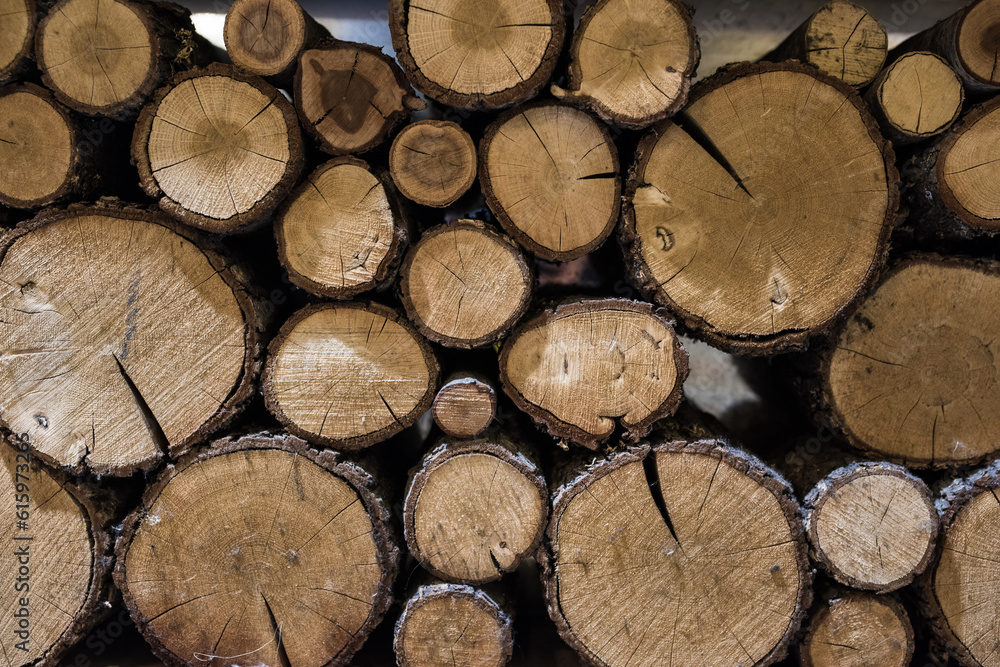 Cross section of the timber for the background Cross section of the timber for the background
