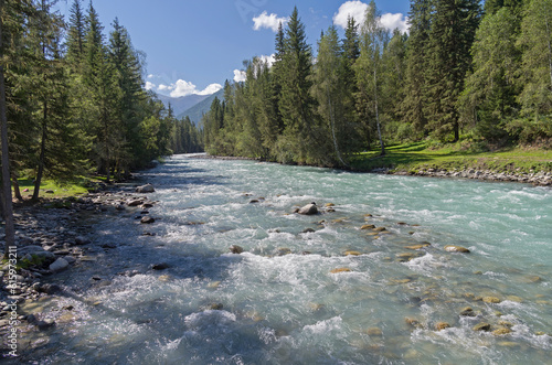 The Kucherla river, Altai Mountains, Russia. Sunny summer day.