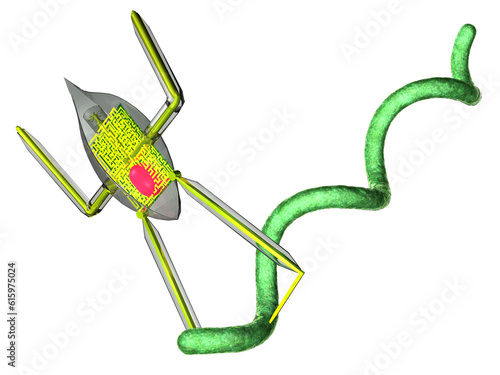Medical nanobot attacking spirillum bacteria microorganism.3d illustration. photo