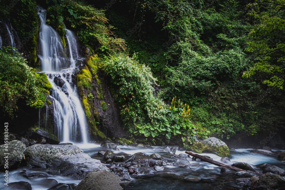 Fototapeta premium 滝 waterfall 