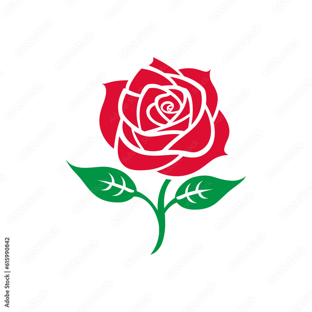 Rose Flower Illustration Rose Flower Illustration