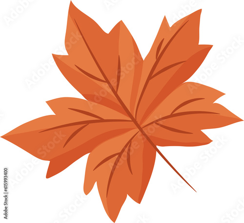 Autumn maple leaf  seasonal  tree foliage. bright nature . colorful autumn leaves. Alder  ash  maple  oak  birch  linden  poplar. flat  cartoon style  transparent  png