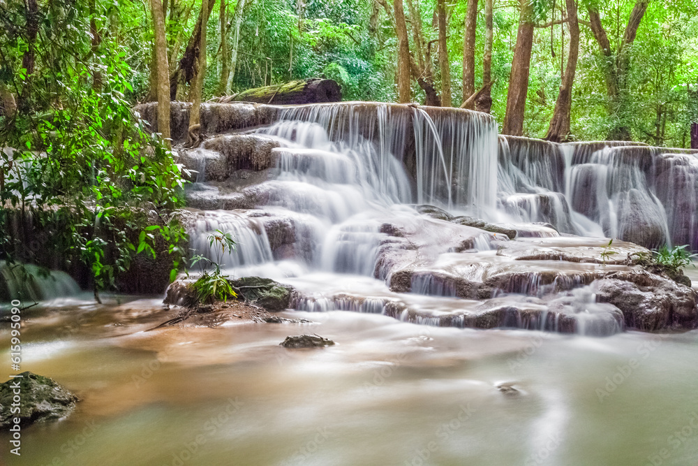 waterfall in the forest