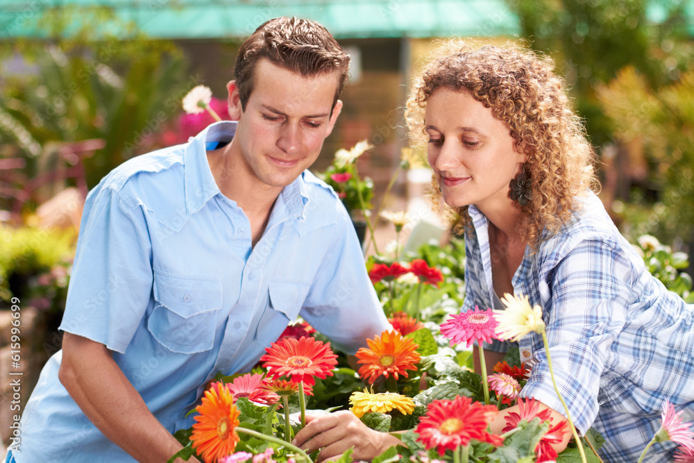 Garden, greenhouse flower and couple with plant shopping and choice with gardening. Floral, spring sale and woman with a man together with daisies purchase for backyard with a smile at outdoor shop
