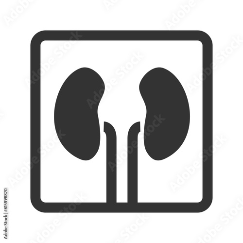 illustration of a icon nephrology 