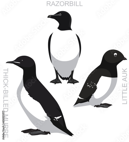 Принти на полотні Cute Bird Razorbill Little Auk Murre Set Cartoon Vector