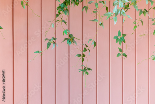  Wooden slats wall with  plants .Wall for use as a Template or Cover Photograph