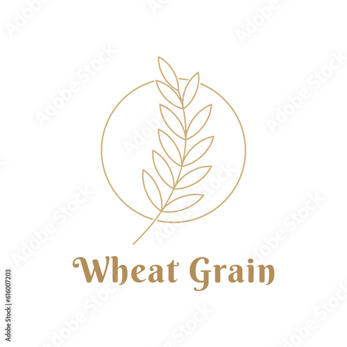 Wheat grain line minimalist logo design template with circle