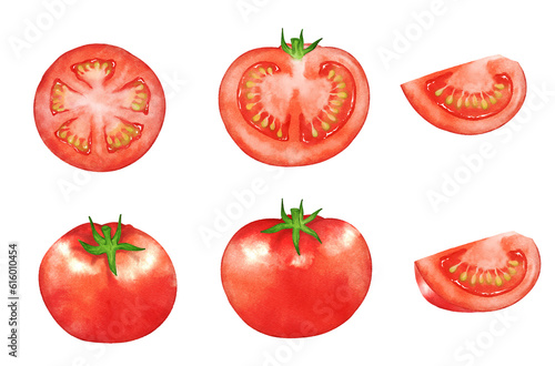 Set of tomatoes painted by digital watercolor