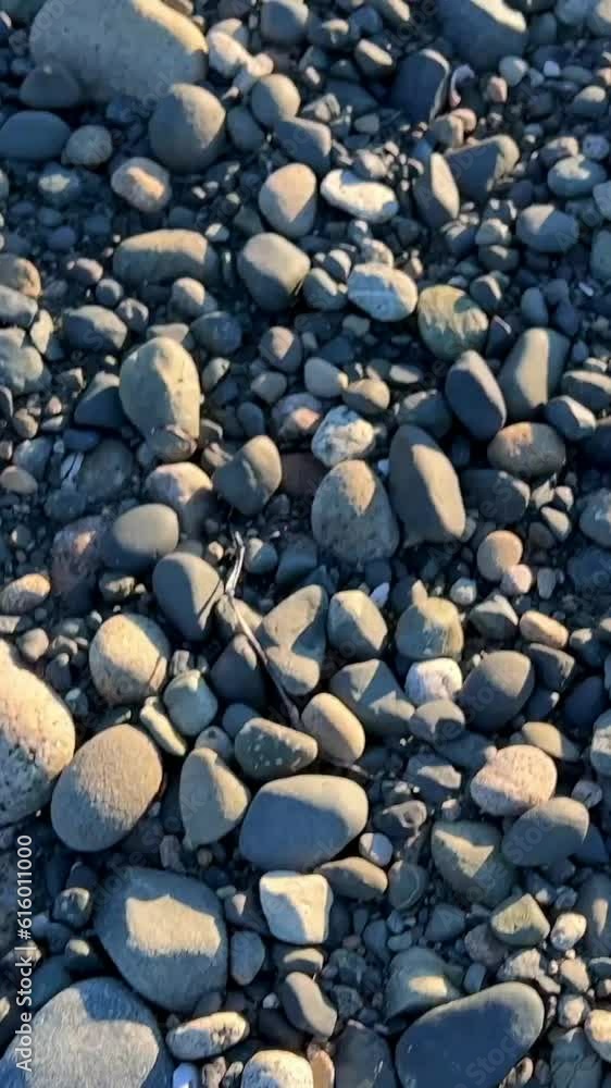 the camera slowly floats over the rocky beach of the Pacific ocean showing each stone the camera slowly floats over the rocky beach of the Pacific ocean showing each stone