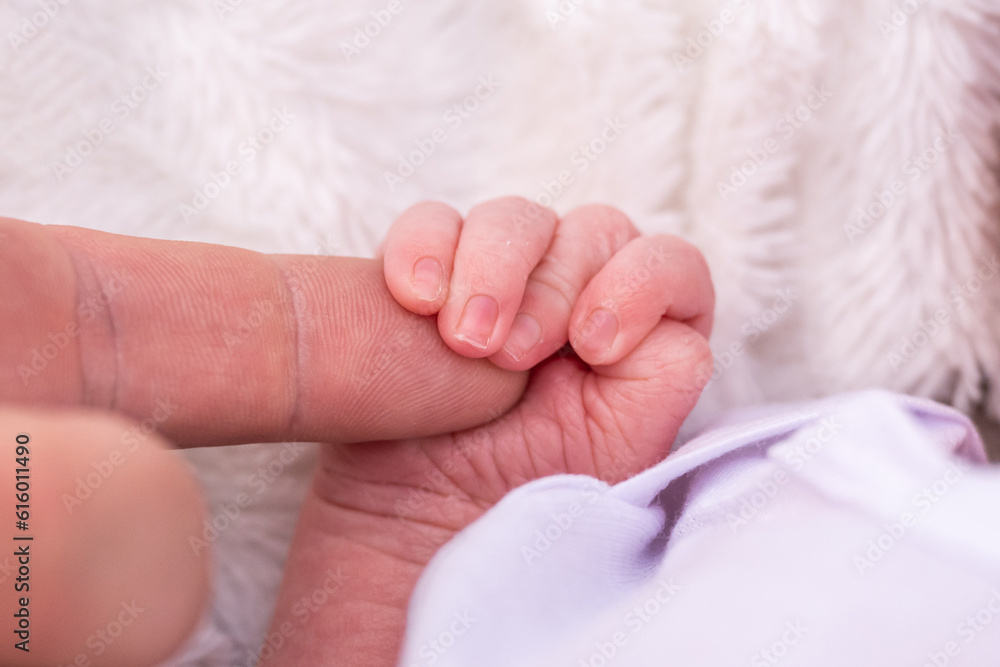 sweet tiny new born baby hand hold mum index finger. concept relationship between mother or parants and baby sweet tiny new born baby hand hold mum index finger. concept relationship between mother or parants and baby