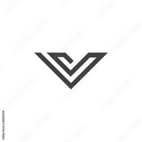 V letter logo vector design template