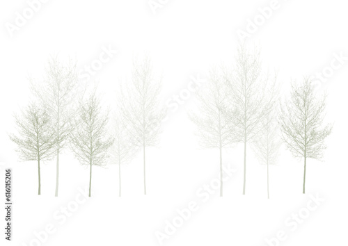 tree in snow, lots of trees with no leaf and in winter, forest tree winter png, cutout tree