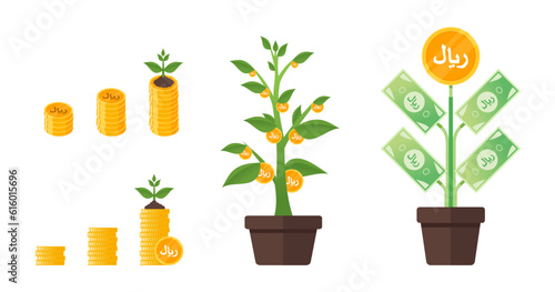 Riyal Money Tree Growing. Translation: Riyal