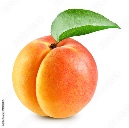 Apricot isolated. Apricot on white