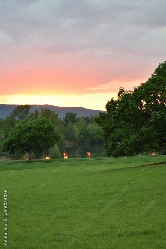 Fototapeta premium Park-Natur-Bäume-Sonnenuntergang-Sommer-Kassel