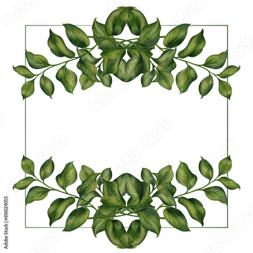 Watercolor illustration of frame from green ruscus branches with leaves for wedding  birthday  greeting card  menu  banner  border  stickers. Elements isolated on white background.