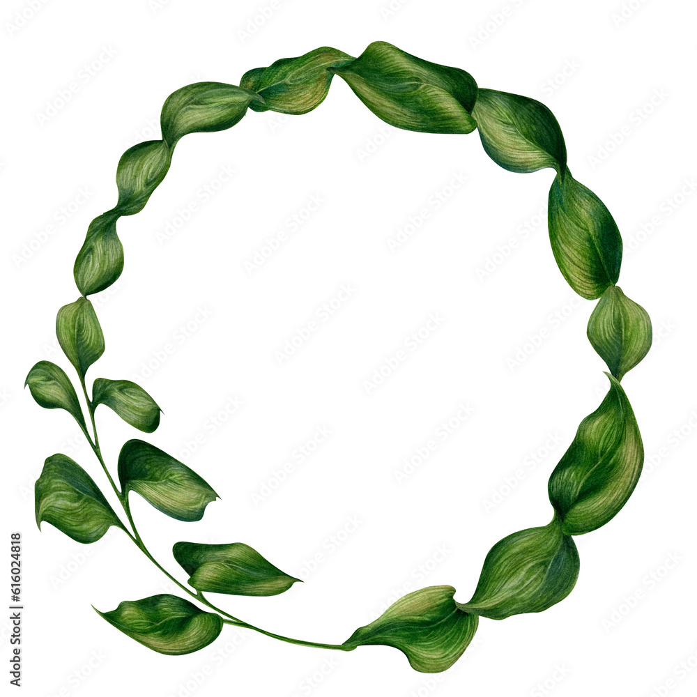 Fototapeta premium Watercolor illustration of frame from green ruscus branches with leaves for wedding, birthday, greeting card, menu, banner, border, stickers. Elements isolated on white background.