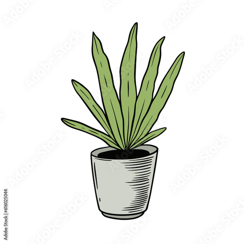 Flower or plant green color in a grey color pot