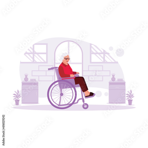 Portrait of an older woman sitting in a wheelchair in a house happily. Trend Modern vector flat illustration.