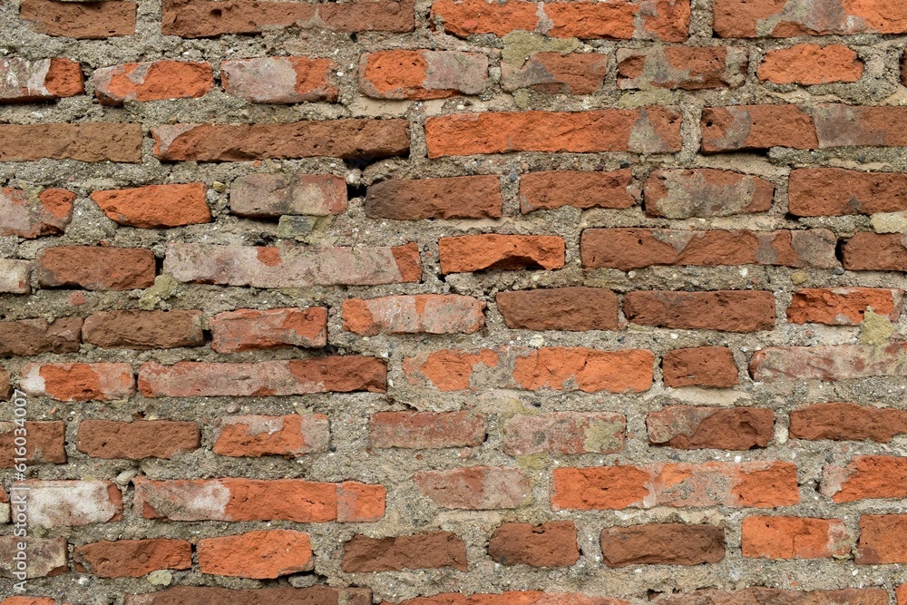 Fototapeta premium Old red brick wall with peeling plaster