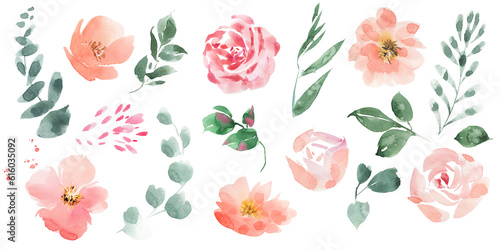 Abstract flowers watercolor clipart, hand painting floral set, flowers and leaves.