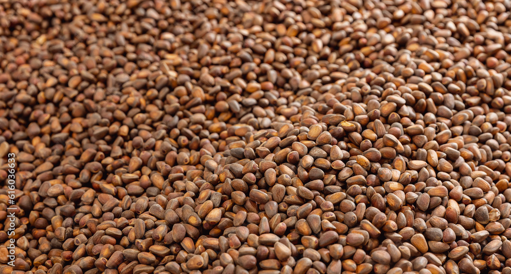 Texture raw ripe fresh brown pine nuts in shell as background, top view Texture raw ripe fresh brown pine nuts in shell as background, top view