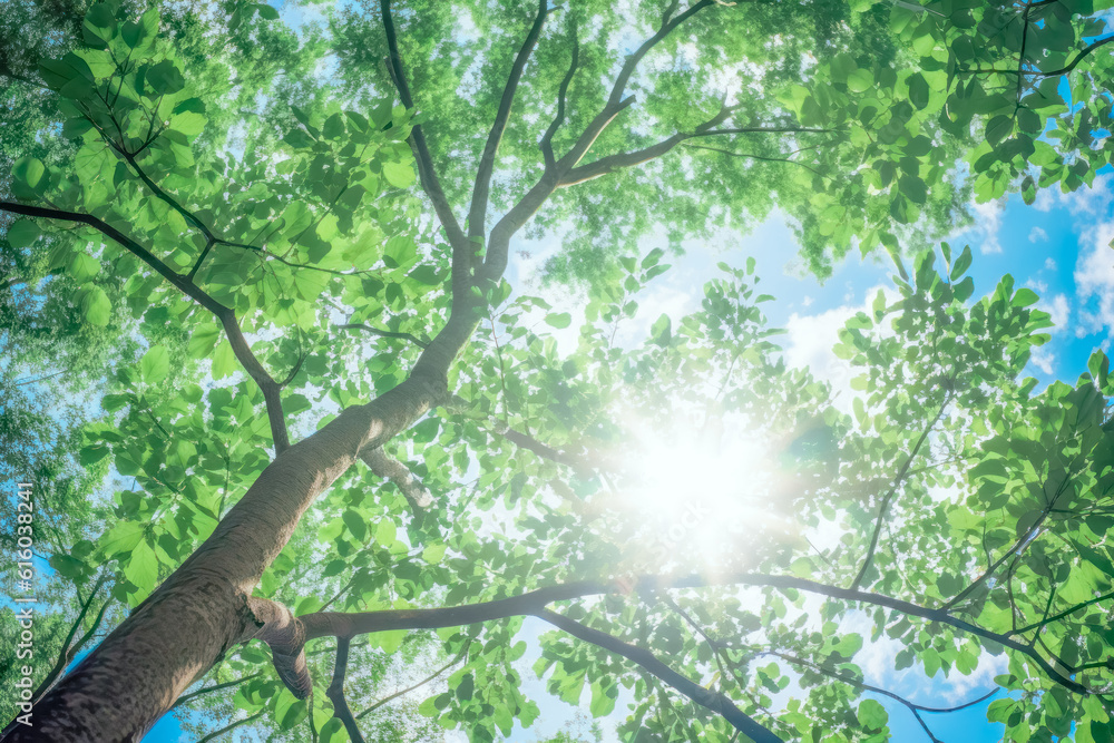 Brilliant fresh greenery and the glow of sunlight filtering through foliage, Generative AI Brilliant fresh greenery and the glow of sunlight filtering through foliage, Generative AI
