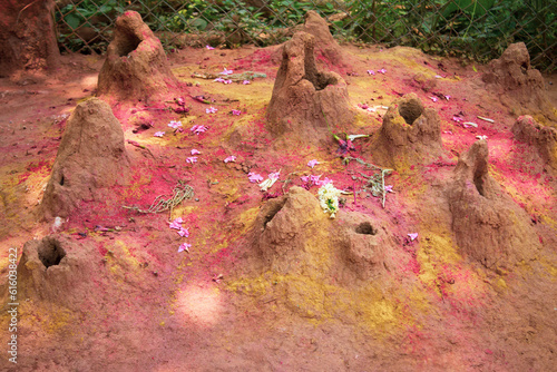 Snake mount (ant hill) being worshipped by the Hindu religion photo